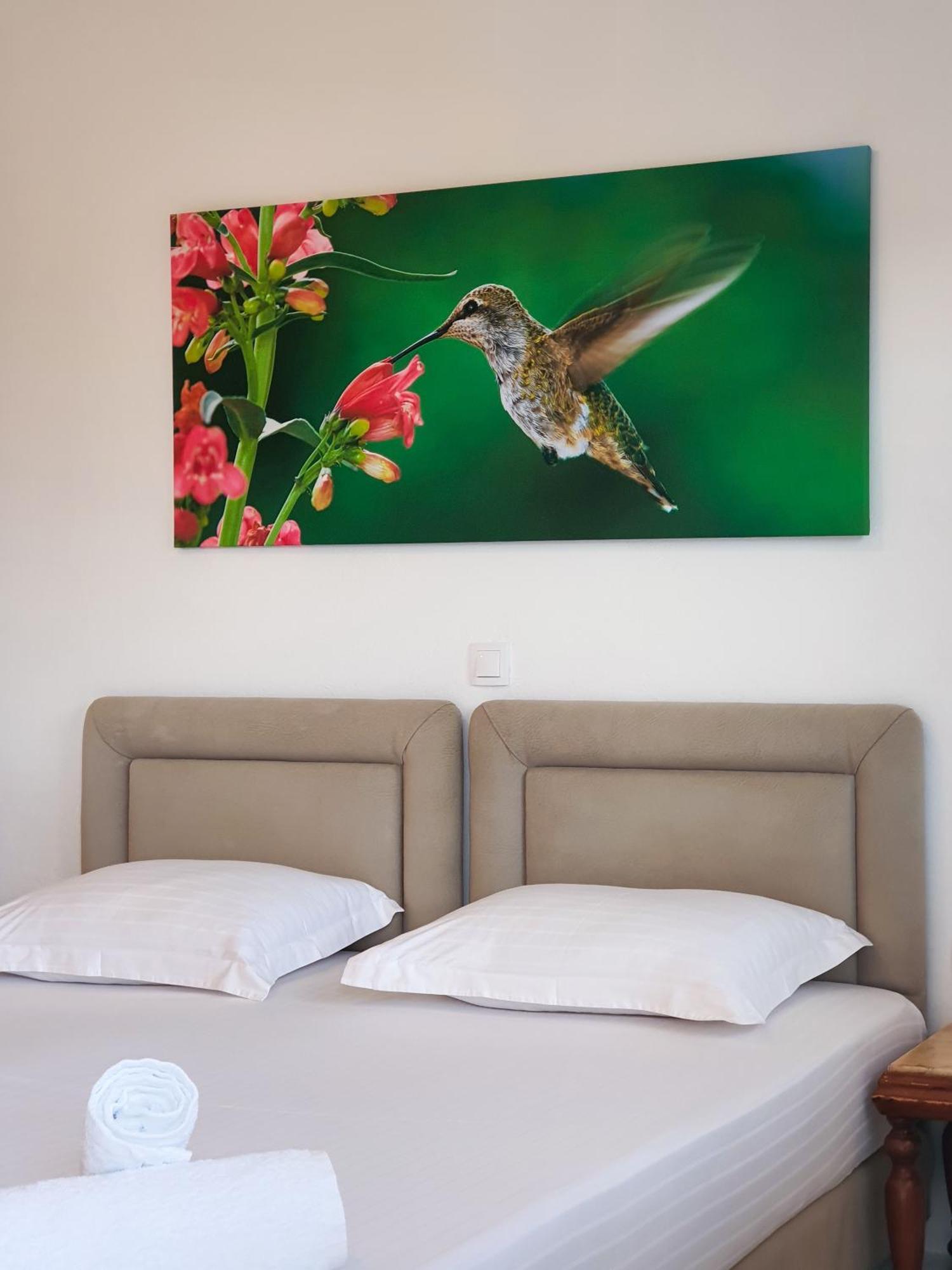 Bodini'S Rooms Himare Eksteriør bilde
